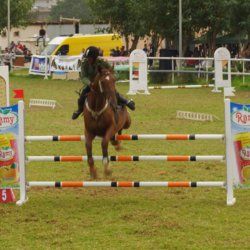 Photos » THE NATIONAL EQUESTRIAN CHAMPIONSHIP